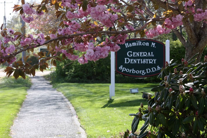 hamilton genral dentistry